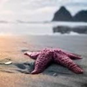 Meet your Posher, Roni